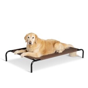Outdoor Elevated Dog Bed